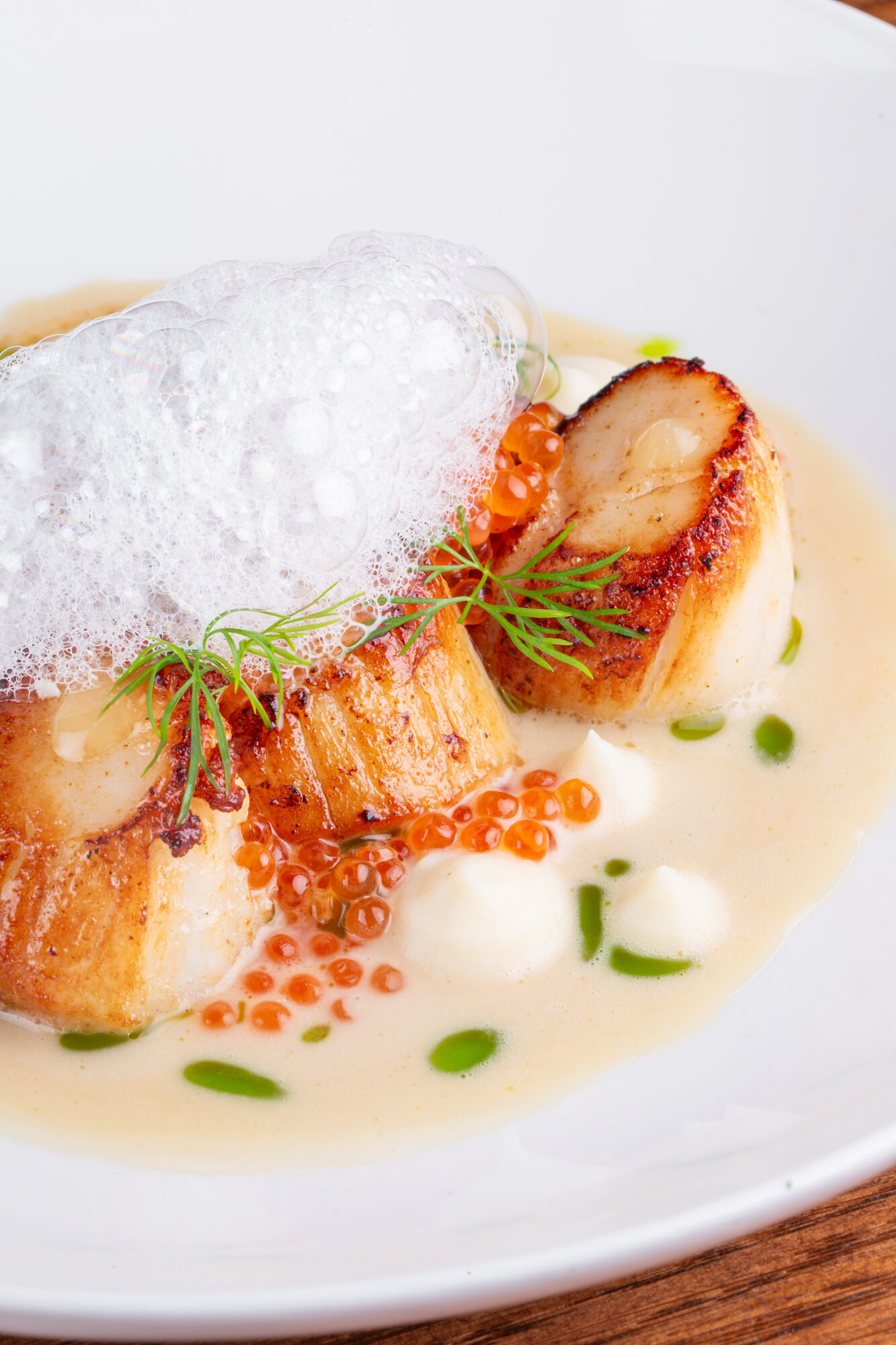 Plated scallops dish, clean and minimal.