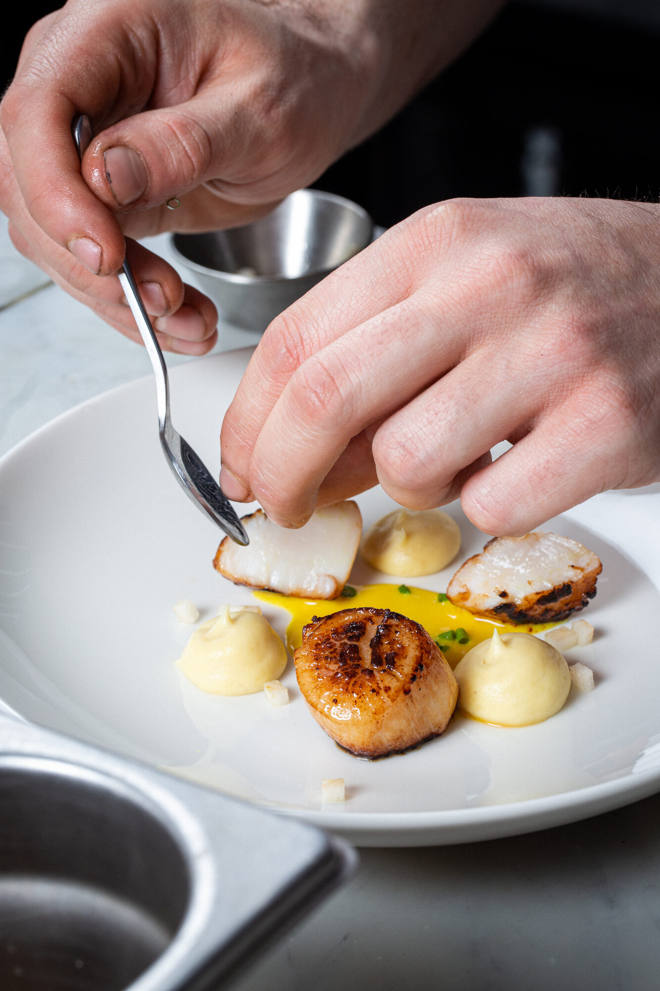 Chef’s hands plating a scallop dish with sauce and garnish on a white plate.
