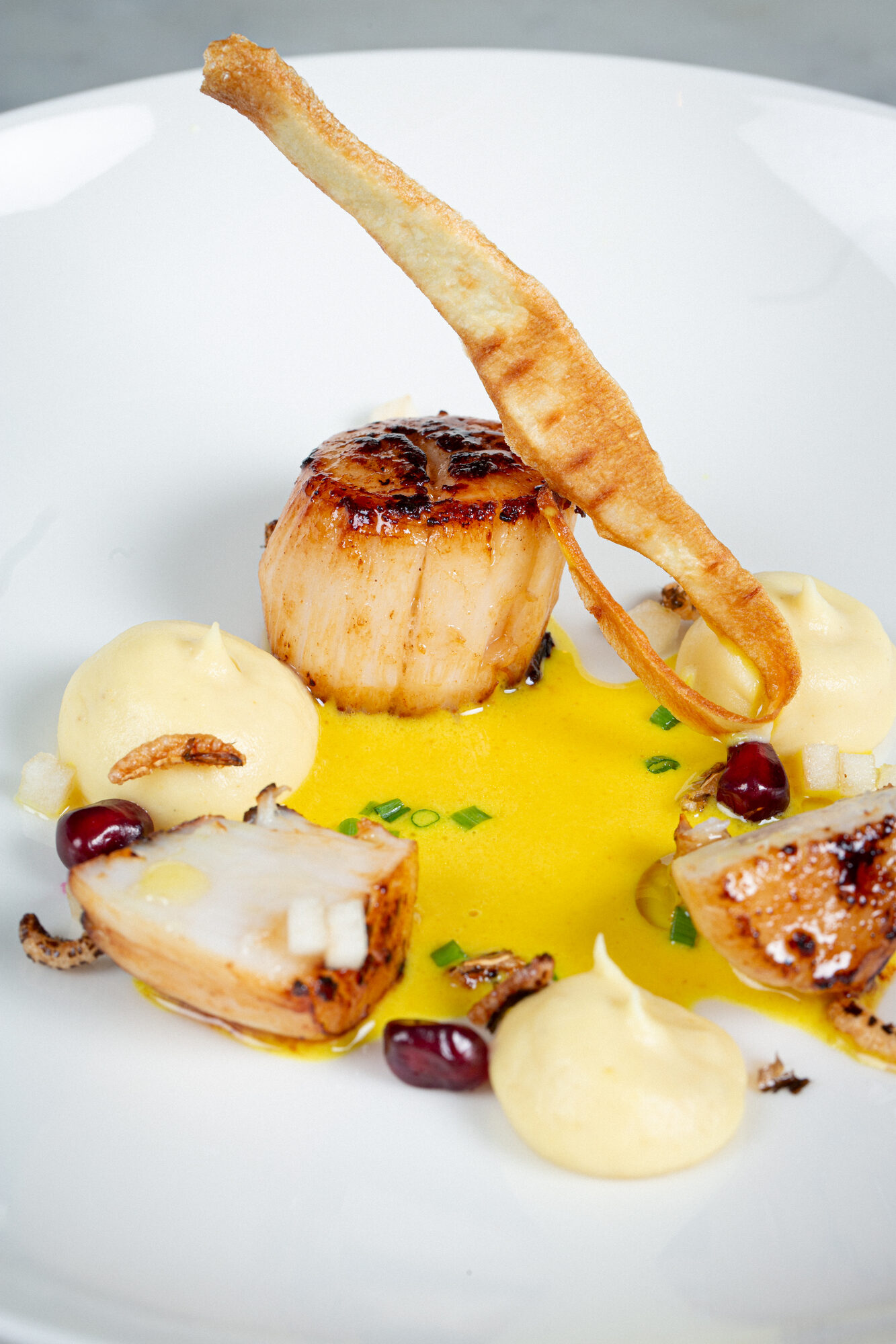 Close-up of a plated scallop dish with yellow sauce, purée and crisp garnish.