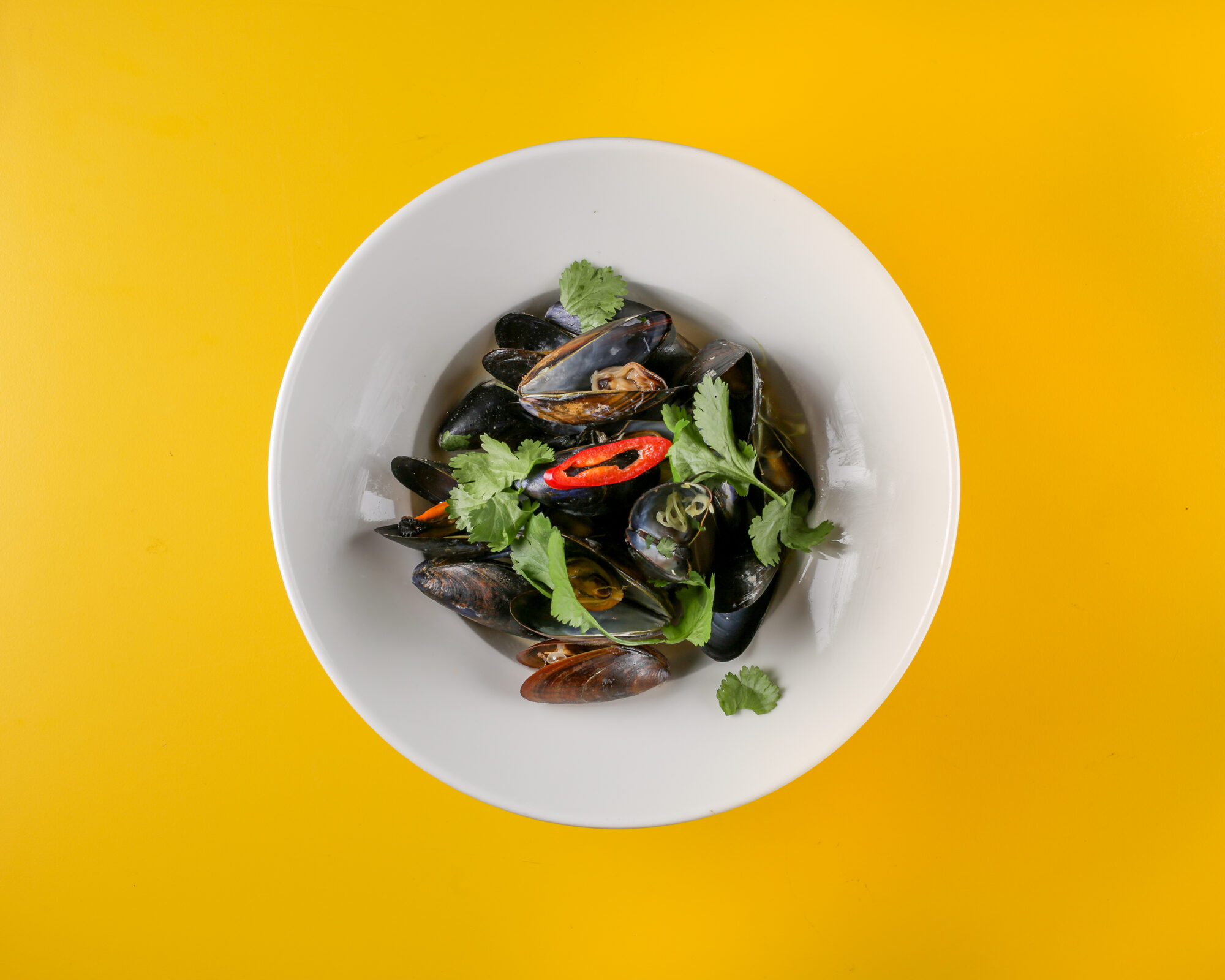 Overhead bowl of mussels, clean and graphic.